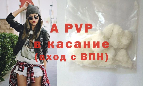 амф Богданович