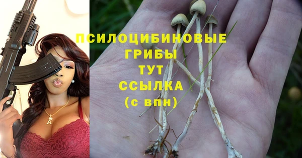 каннабис Верея
